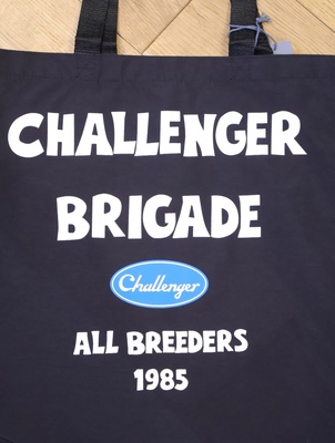 CHALLENGER 「STORM TOTE BAG」 ナイロントートバッグ